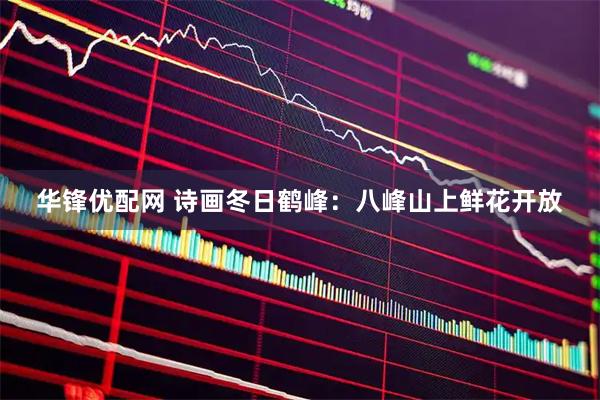 华锋优配网 诗画冬日鹤峰：八峰山上鲜花开放