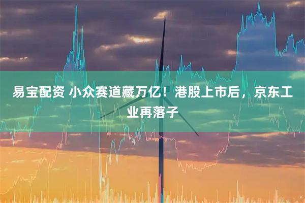 易宝配资 小众赛道藏万亿!港股上市后,京东工业再落子