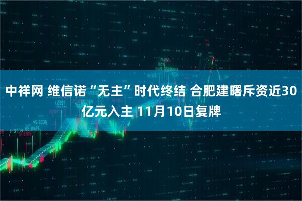 中祥网 维信诺“无主”时代终结 合肥建曙斥资近30亿元入主 11月10日复牌
